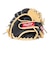 ローリングス（Rawlings）少年軟式用グラブ オールラウンド用 野球グローブ ジュニア シュアキャッチ GJ5SCBFS-CAM/B