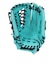ミズノ（MIZUNO）少年軟式用グラブ オールラウンド用 野球グローブ WILL DRIVE BLUE 1AJGY35740 3909