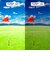 スワンズ（SWANS）スポーツサングラス Radiant Del ULTRA LENS for GOLFモデル RAD DEL-0714 LGR