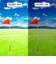 スワンズ（SWANS）スポーツサングラス Radiant Del ULTRA LENS for GOLFモデル RAD DEL-0714 LGR