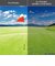 スワンズ（SWANS）スポーツサングラス Airless-Core2 ULTRA LENS for GOLFモデル SACR2-0167 STME