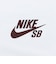 ナイキ（NIKE）スケートボード ロゴ 半袖Tシャツ LBR DC7818-103