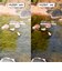 スワンズ（SWANS）スポーツサングラス Radiant Sol ULTRA LENS for FISHINGモデル RAD SOL-0168 SND