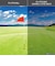 スワンズ（SWANS）スポーツサングラス Radiant Sol ULTRA LENS for GOLFモデル RAD SOL-0714 CLIM