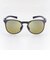スワンズ（SWANS）スポーツサングラス Radiant Del ULTRA LENS for FISHINGモデル RAD DEL-0168 SMBK