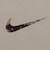 ナイキ（NIKE）バスケットボールウェア HP AS M90 SUMMIT 半袖Tシャツ IM5055-253