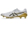 アシックス（ASICS）サッカースパイク DS LIGHT ACROS 3 1101A070.110