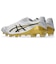 アシックス（ASICS）サッカースパイク DS LIGHT ACROS 3 1101A070.110