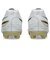 アシックス（ASICS）サッカースパイク DS LIGHT PRO 1103A126.103