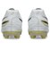 アシックス（ASICS）サッカースパイク DS LIGHT PRO 1103A126.103