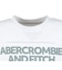 アバクロンビー&フィッチ（Abercrombie & Fitch）ジュニア CINDER BLOCK 半袖Tシャツ 93AJ91-W1T