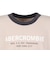 アバクロンビー&フィッチ（Abercrombie & Fitch）ジュニア ABERCROMBIE RINGER 半袖Tシャツ 93AJ98-J7Y