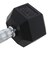 ファイティングロード（FIGHTING ROAD）六角ダンベル 8kg FR23CMS0063 BLK