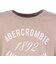 アバクロンビー&フィッチ（Abercrombie & Fitch）ジュニア ANF 1892 RUCHED 半袖Tシャツ 43AJ73-J8N