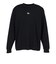ニューエラ（NEW ERA）PALSOSPF BOXLOGO 長袖Tシャツ 15135442