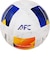 モルテン（molten）サッカーボール 4号球 ヴァンタッジオ 1000 AFCライセンスモデル F4N1000-A26