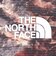ザ・ノース・フェイス（THE NORTH FACE）ショートスリーブGTDメランジクルーネックTシャツ NTW12595 CM