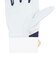 オークリー（OAKLEY）バッティング用グローブ 野球 STRIKING GLOVE SP 2 FOS902381-100