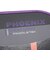 ピックルボール パドル PHOENIX GENESIS C PUR 14 1500026000034
