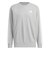 アディダス（adidas）エッセンシャルズ プラス ルーズフィット スリーストライプス フレンチテリー スウェットシャツ TS673-KF3716