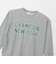 チャンピオン（CHAMPION）クルーネックスウェットシャツ CK-E010 070