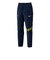 ミズノ（MIZUNO）N-XT 撥水ストレッチパンツ 32JFD74214