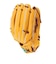 ローリングス（Rawlings）軟式用グラブ 野球グローブ オールラウンド用 ハイパーテック R2G 左投用 GR6FHTN65-PYE-RH