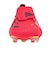 アディダス（adidas）サッカースパイク 天然芝用 プレデター ELITE フォールディングシュータン NRZ50-JS0380