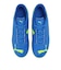 プーマ（PUMA）キッズ サッカーインドアトレーニングシューズ 屋内 室内 アタッカント II IT 10849811