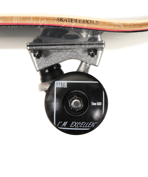 スケボー コンプリート スケーター（SKATER）（メンズ、レディース）スケートボード