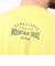 ニューバランス（new balance）半袖Tシャツ MT1996 グラフィックTシャツ AMT35013-HCM イエロー