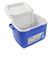 コールマン（Coleman）クーラーボックス 保冷 15L エクスカーション 16QT 2000027859