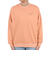 ビラボン（BILLABONG）ARCH CLEAN ロゴ トレーナー BD014001 NGP0