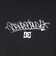 ディーシーシューズ（DC SHOES）GRAFFITI ハーフジップ スウェットシャツ 23FWDPO234085YBLK