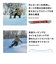 サロモン（SALOMON）スノーボード 板 23-24 ASSASSIN 473477 オールマウンテン
