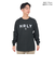 ハーレー（HURLEY）オーバーサイズ ブランドロゴ 長袖Tシャツ 23MLS2200001-DFR