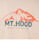 ボンファイア（Bonfire）MT.HOOD フーディー 50BNF4FCD2364 BEG