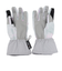 ボンファイア（Bonfire）ジュニア 子供 グローブ スキー スノーボード スマホ対応 LIMITED GLOVE 70BNF4FDE2347 GYPK