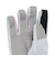 ボンファイア（Bonfire）ジュニア 子供 グローブ スキー スノーボード スマホ対応 LIMITED GLOVE 70BNF4FDE2347 GYPK