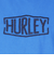 ハーレー（HURLEY）ピグメント DYED 半袖Tシャツ MSS2411016-BLE