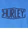ハーレー（HURLEY）ピグメント DYED 半袖Tシャツ MSS2411016-BLE