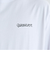 クイックシルバー（Quiksilver）FROG RITUAL ST 半袖Tシャツ 25SPQST251004WHT