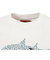 クリフメイヤー（KRIFF MAYER）ジュニア 楽LUCK-Tシャツ サメ J2444307:5:OFF