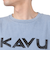 USAロゴTシャツ 19822218
