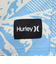 ハーレー（HURLEY）キャノンボール ボレー 17 サーフパンツ 水着 MBS0011890-421