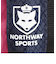 ノースウェイ（NORTHWAY）パークゴルフ ベルト付きポーチ NSG-120BP NV/PK