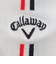 キャロウェイ（CALLAWAY）ゴルフ 吸汗速乾 抗菌防臭 ラインハイソックス C23193211-1030