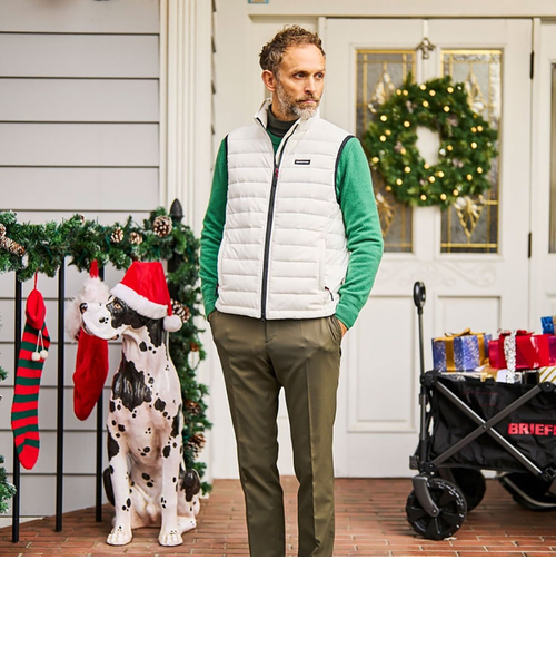 ブリーフィング（BRIEFING）ゴルフウェア TAION ダウンベスト