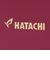 ハタチ（HATACHI）グラウンドゴルフ スコアカードケース BH6157-62
