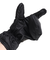 オークリー（OAKLEY）ゴルフ ミトングローブ 手袋 撥水 防風 Skull Mitten 17.0 Fw FOS901543-02E